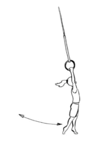 Se balancer aux anneaux