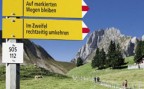 Zum Artikel: Bergwandern: Sicher über Stock und Stein 