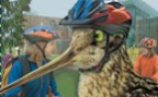 À l'article: Promotion de la sécurité à l’école: Randonnées à vélo