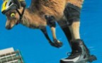 Zum Artikel: Sicherheitsförderung: Inline-Skating