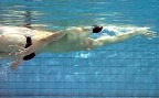 À l'article: Natation – Dos: A l'aveugle