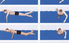 Natation – Crawl: Vue d’ensemble de la technique du crawl Natation – Crawl: Vue d’ensemble de la technique du crawl