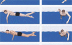 À l'article: Natation: Vue d’ensemble de la technique du crawl