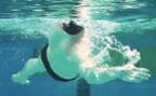 À l'article: Natation – Dos: Phase de retour