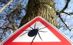 À l'article: Activités en plein air: Se soucier et s'informer des dangers