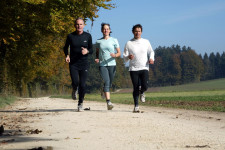 Erwachsenensport: Team-Marathon