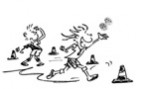 Vai all'articolo: Sport per adulti – Resistenza: Corsa a dadi