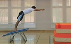 Mini-trampoline: Renversement À l'article: Mini-trampoline: Renversement