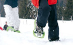 À l'article: Raquettes à neige: Chenille