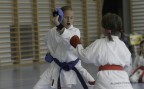 Zum Artikel: J+S-Kids – Karate: Lektion 6 «Erste Angriffstechniken»