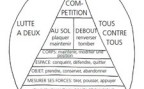 À l'article: Jeux de lutte: Du petit duel au grand combat