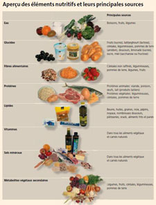 Cliquer sur l'image pour agrandir le tableau Nutrition: Les éléments nutritifs