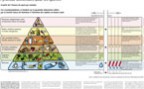 À l'article: Nutrition: La pyramide alimentaire des sportifs