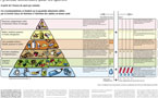 Vai all'articolo: Alimentazione: La piramide alimentare per gli sportivi