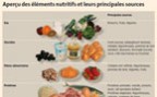 À l'article: Nutrition: Les éléments nutritifs