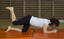 Muscles fessiers – Exercice de base Muscles fessiers – Exercice de base