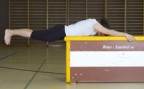 À l'article: Force: Muscles postérieurs des cuisses