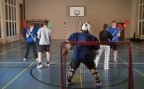 Zum Artikel: Intercrosse: Regeln und Grundtechnik