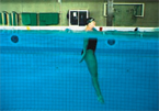 Vai all'articolo: Nuoto – Delfino: Battuta in piedi