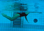 Vai all'articolo: Nuoto – Delfino: Ritmo uno-uno