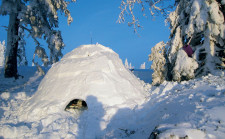 Vai all'articolo: Campi di sport sulla neve – Programma speciale: Una giornata sulla neve