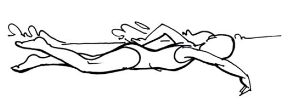 Fiche technique natation crawl