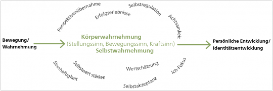 Vielseitige Bewegungs- und Wahrnehmungserfahrungen als Grundlage für eine Persönliche Entwicklung.