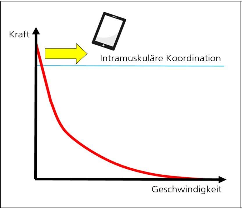 Grafik: Intramuskuläre Koordination - im Verhältgnis zur Geschwindigkeit.