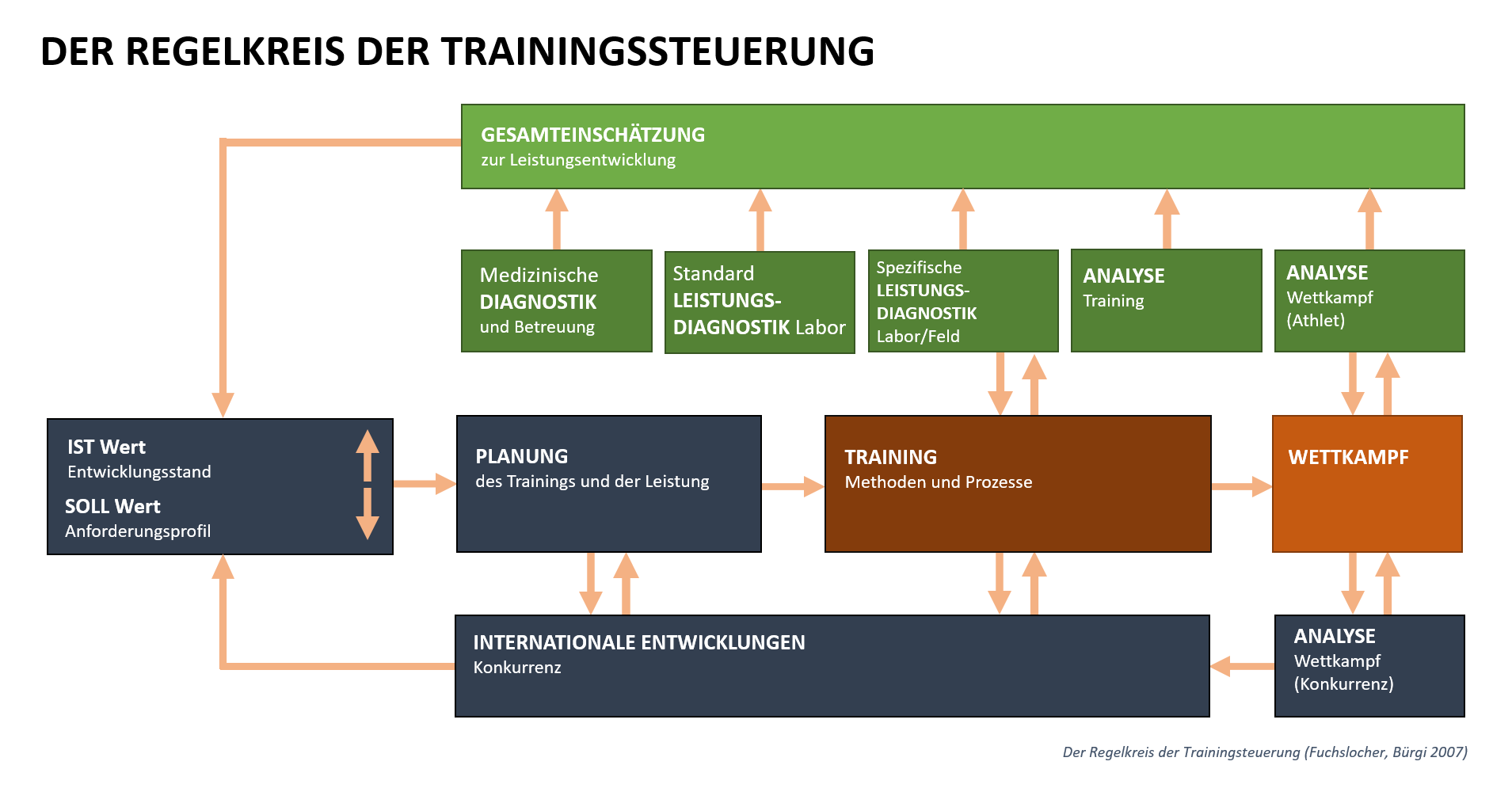 Grafik: Das Prozessmodell im Detail.