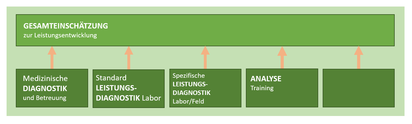 Die Athletenanalyse im Detail.