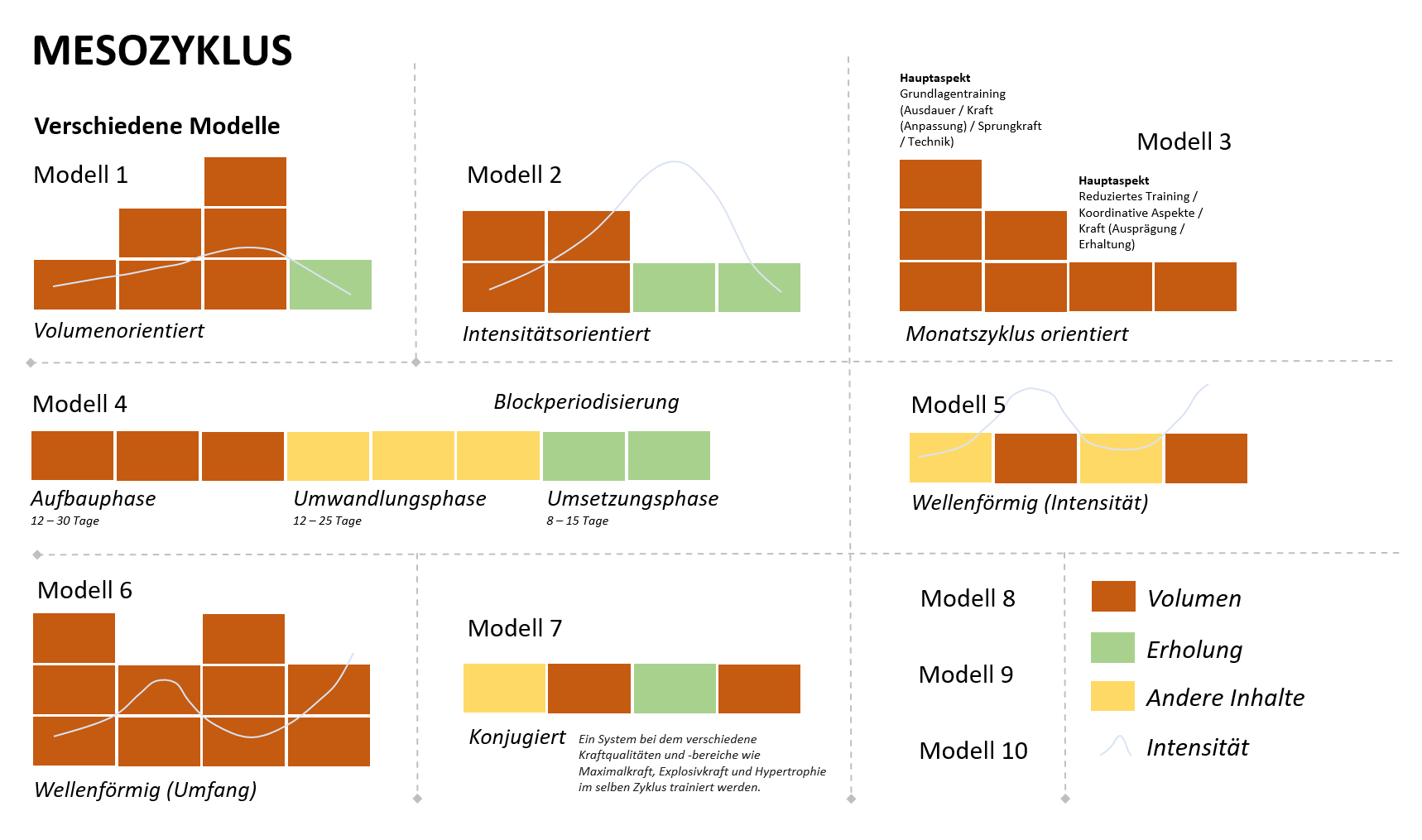 Grafik: Sieben Modelle des Mesozyklus'.