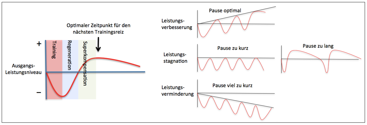 Grafik: Analyse Verhältnis von Belastung und Erholung als Grundlage zur Trainingsplanung.