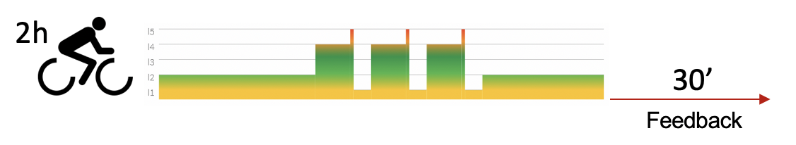 Grafik: Monitoring