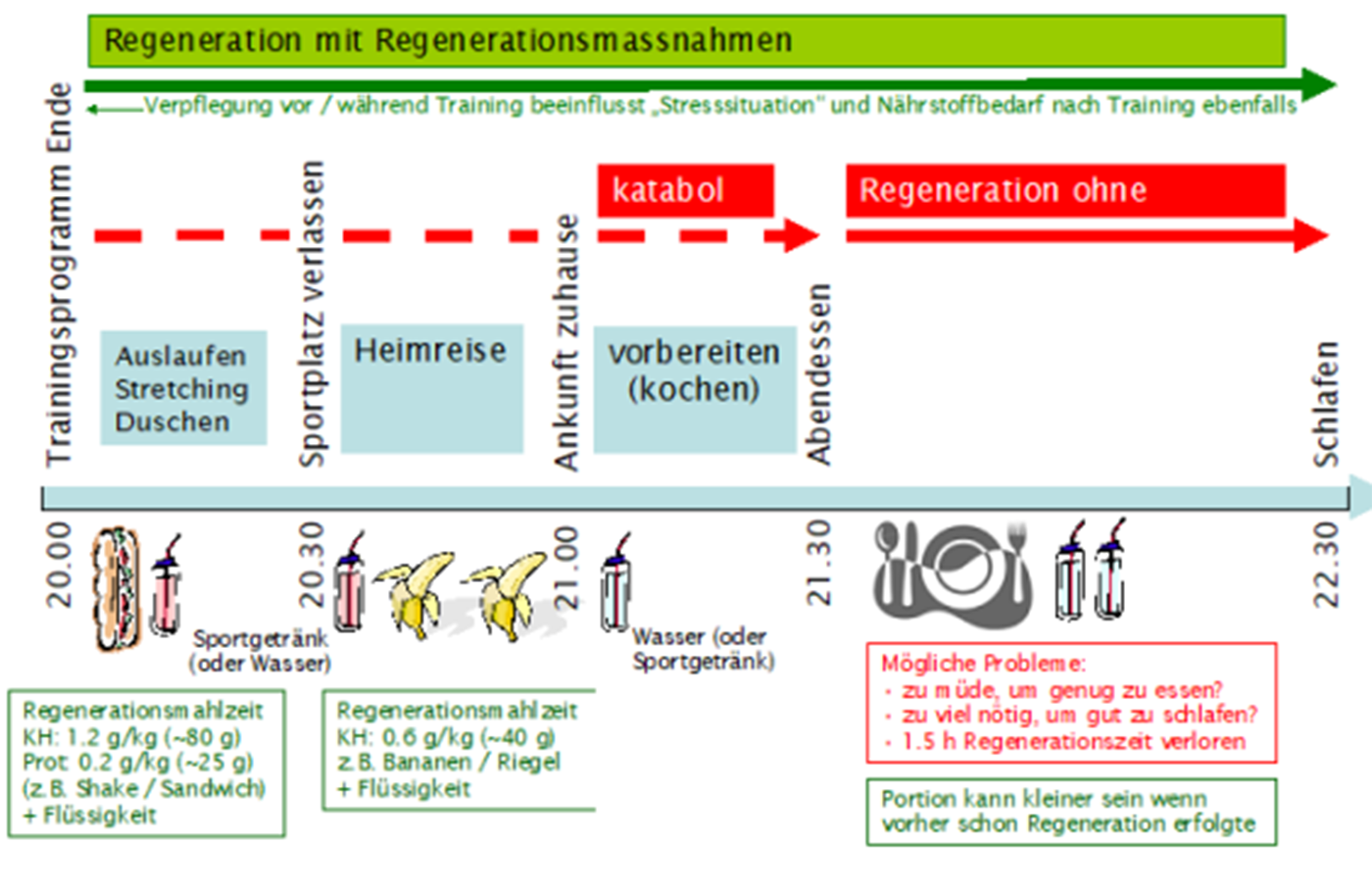 Ernährung nach der Belastung (Regeneration)