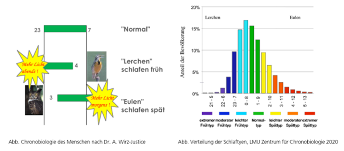 Grafik: Schlaftypen und Bedürfnisse.