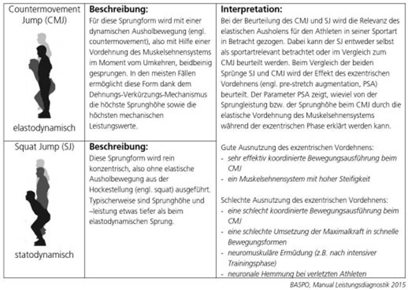 Bild Leistungsdiagnostik.
