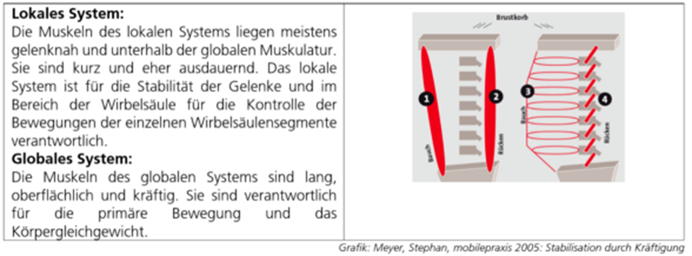 Lokales und globales System