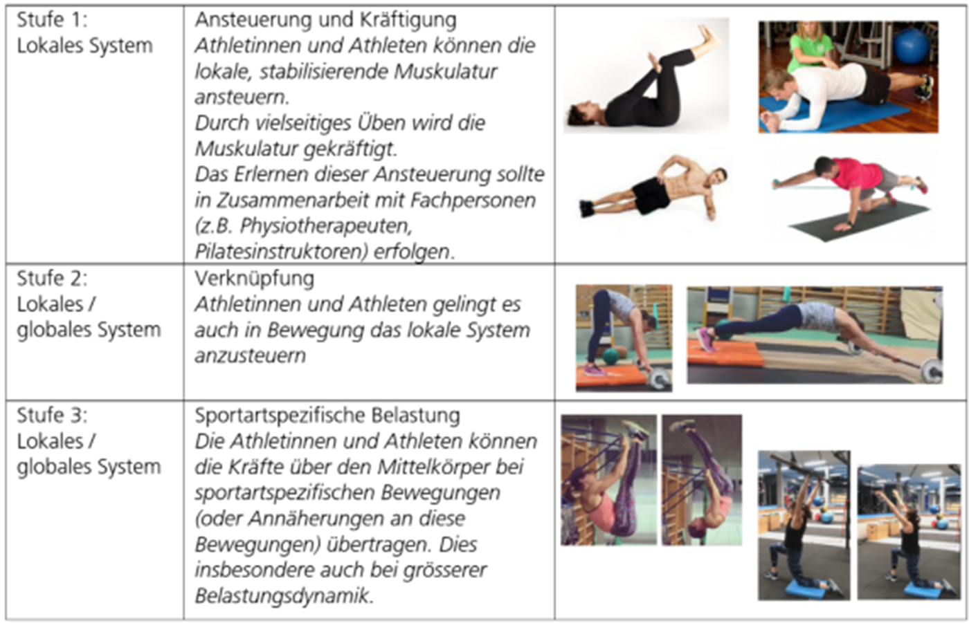 Strategie des Rumpfkrafttrainings in drei Stufen