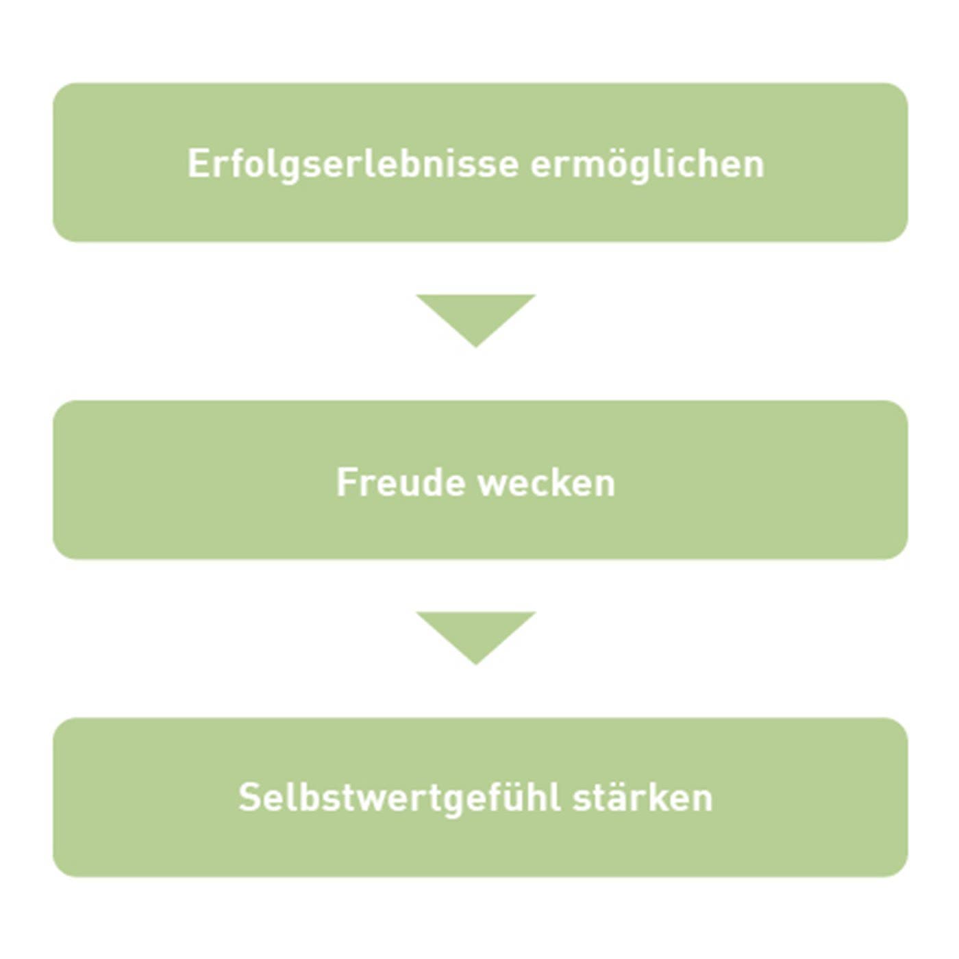 Erfolgserlebnisse ermögliche, Freude wecken, Selbstwertgefühl stärken