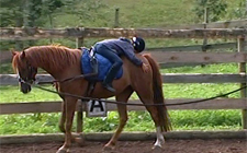 G+S-Kids – Sport equestri: Lezione 5 «Introduzione alla cavezza lunga»