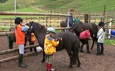 G+S-Kids – Sport equestri: Lezione 7 «Gioco di postazioni sul tema foraggio»