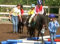 J+S-Kids – Sports équestres: Leçon 9 «Préparation à la course d’obstacles/Sauter du cheval»