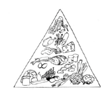 Bild: Ernährungspyramide