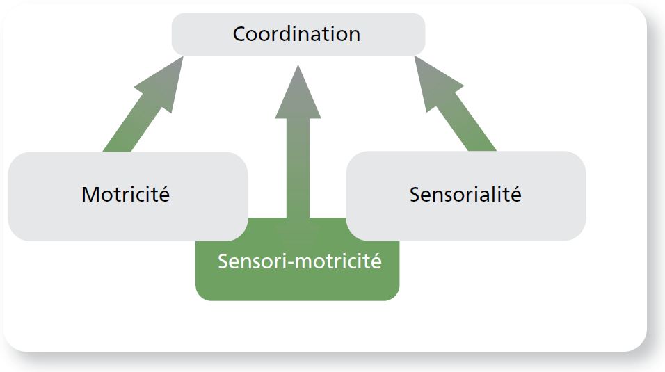Motricité définition Motricité définition