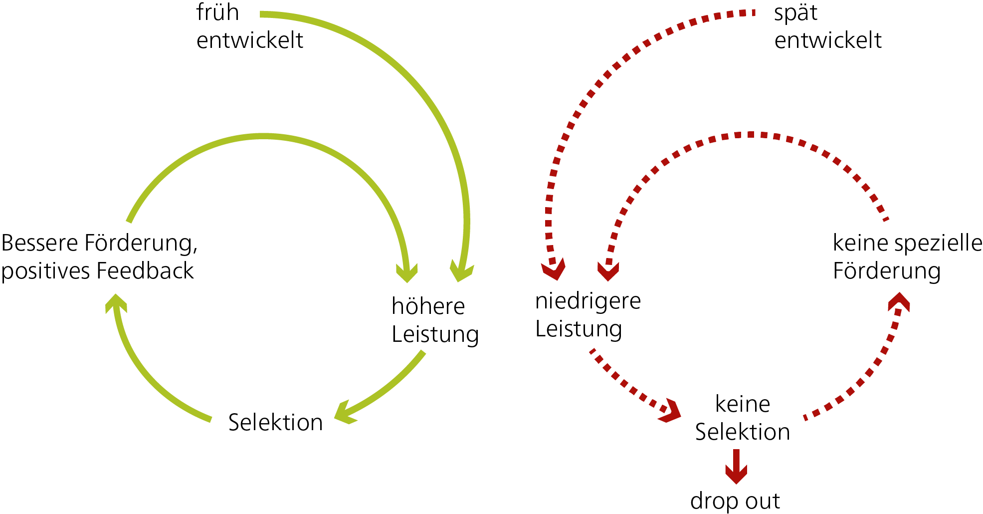 Abbildung 2: «Teufelskreis» der Talentförderung und –selektion von frühentwickelten (grün) und spätentwickelten (rot) Spieler/-innen.