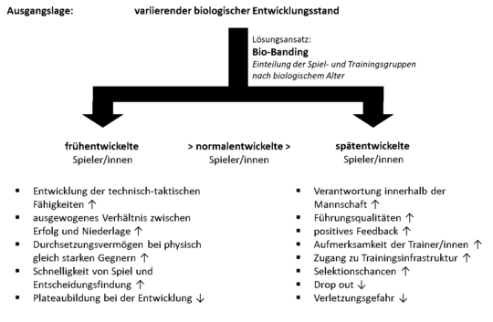 Tabelle: Abb. 3. Zusammenfassung der erwarteten Effekte von Bio-Banding für früh- und spätent-wickelte Spielerinnen und Spielern.