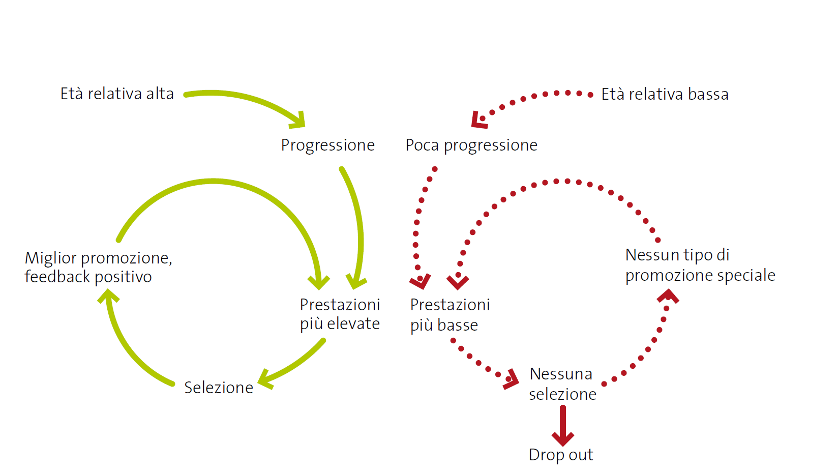 Schema: Circolo vizioso nello sviluppo e nella selezione dei talenti di giocatori dallo sviluppo precoce (spirale verde) e tardivo (spirale rossa).