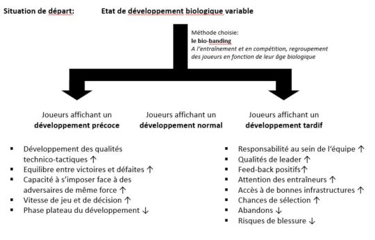 Graphique: Résumé des effets attendus du bio-banding