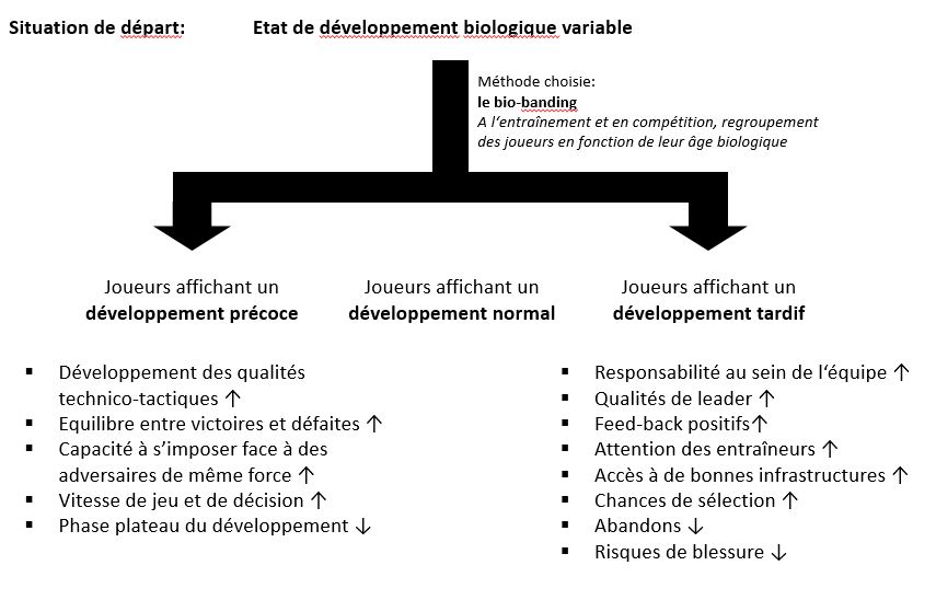 Graphique: Résumé des effets attendus du bio-banding