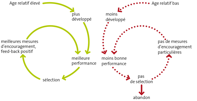 Graphique: Cercles vertueux et vicieux pour la sélection des talents.